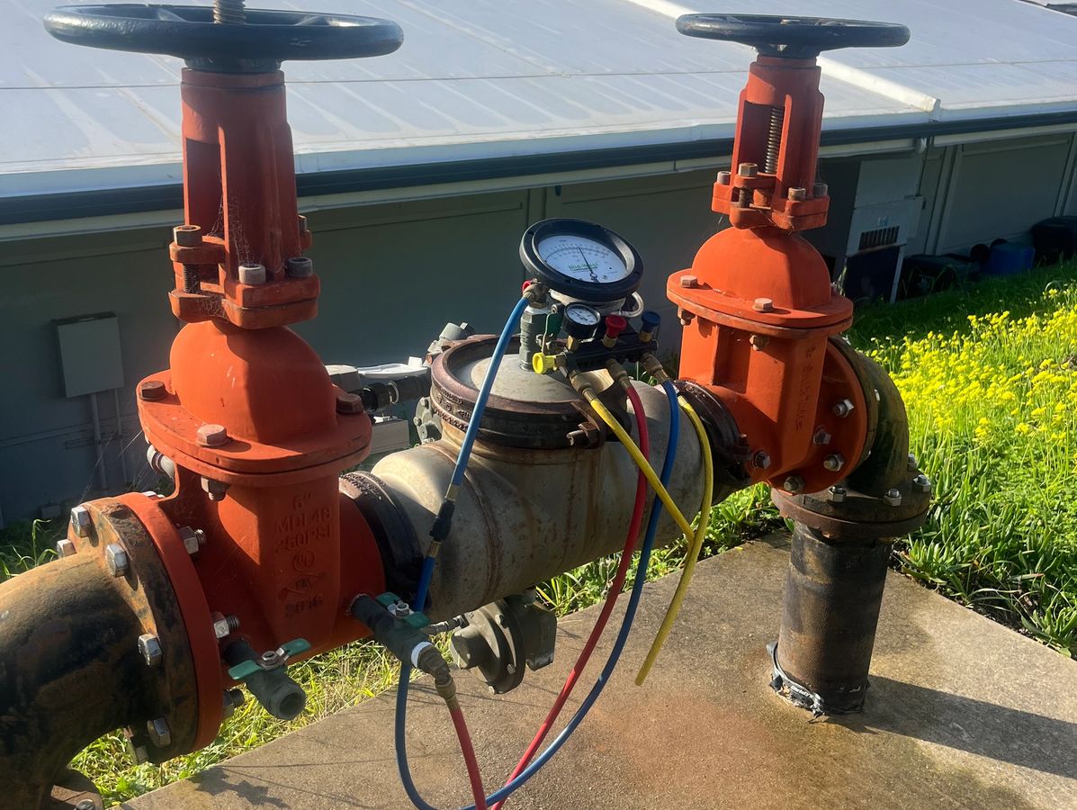 Backflow testing in the field